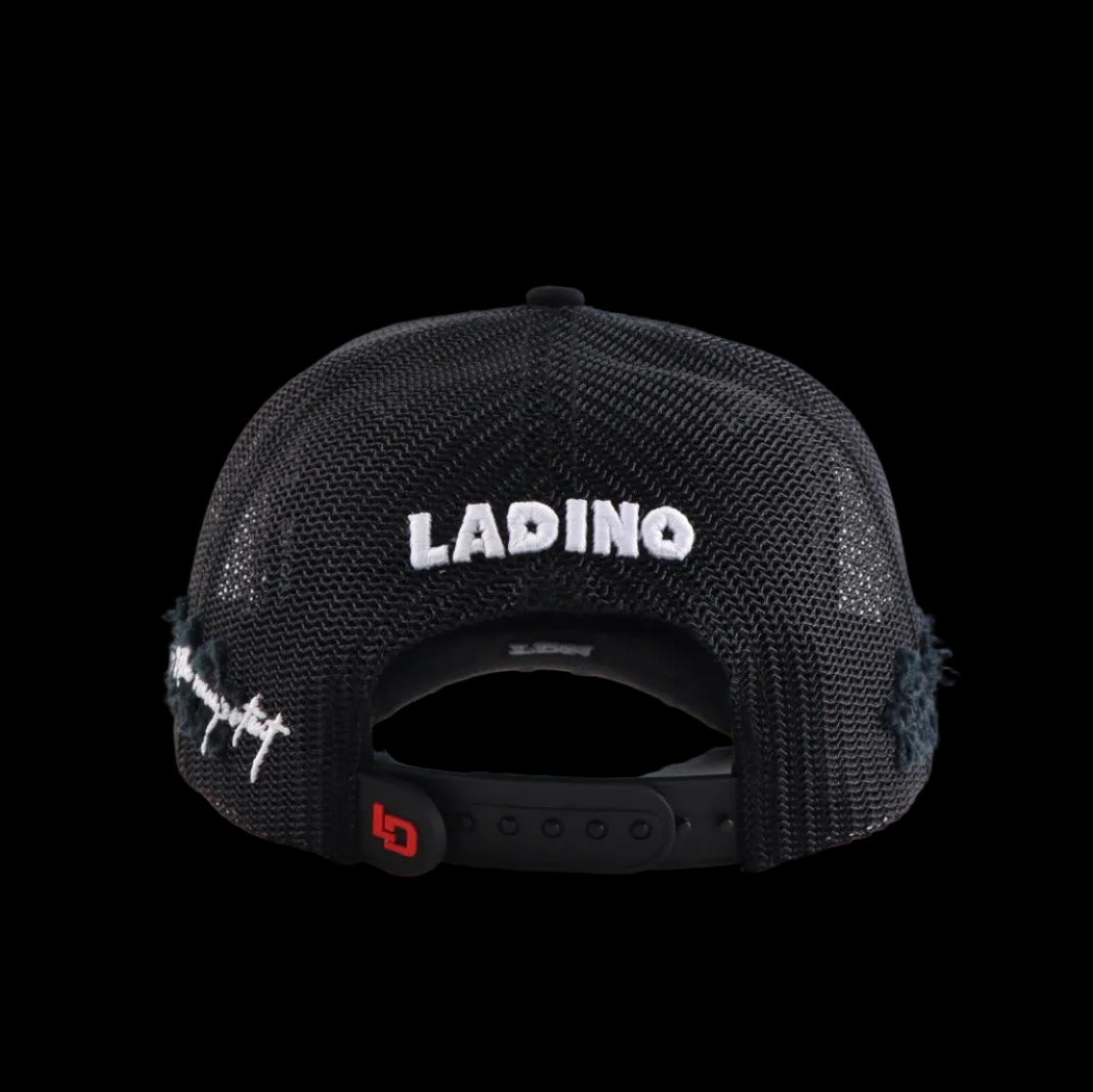 LADINO LEGACY 1